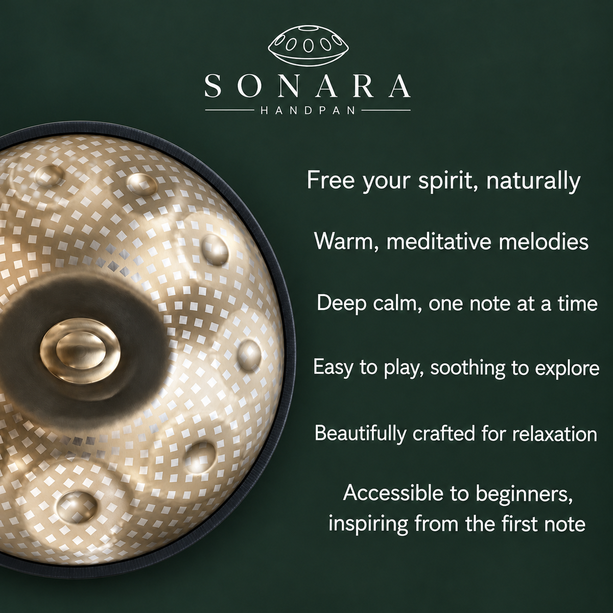 The Orvella Handpan β D Minor | 9, 10, 12 & 14 Notes